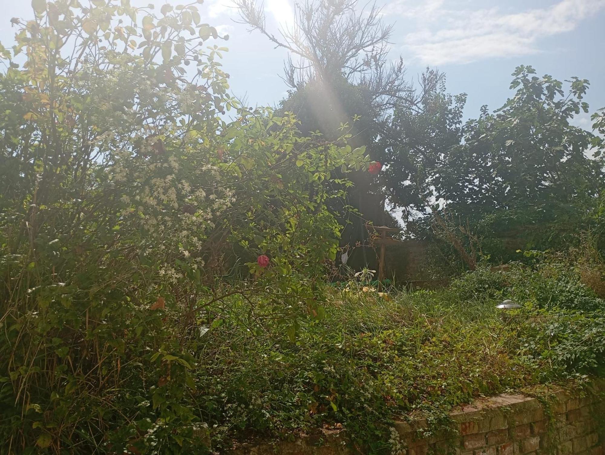 Byt S Terasou A Zahradou برنو المظهر الخارجي الصورة